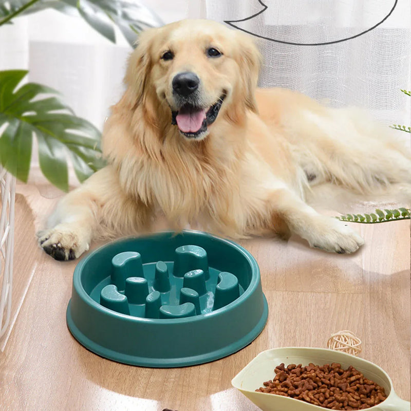 Low-Eat Alimentador Lento para Pets